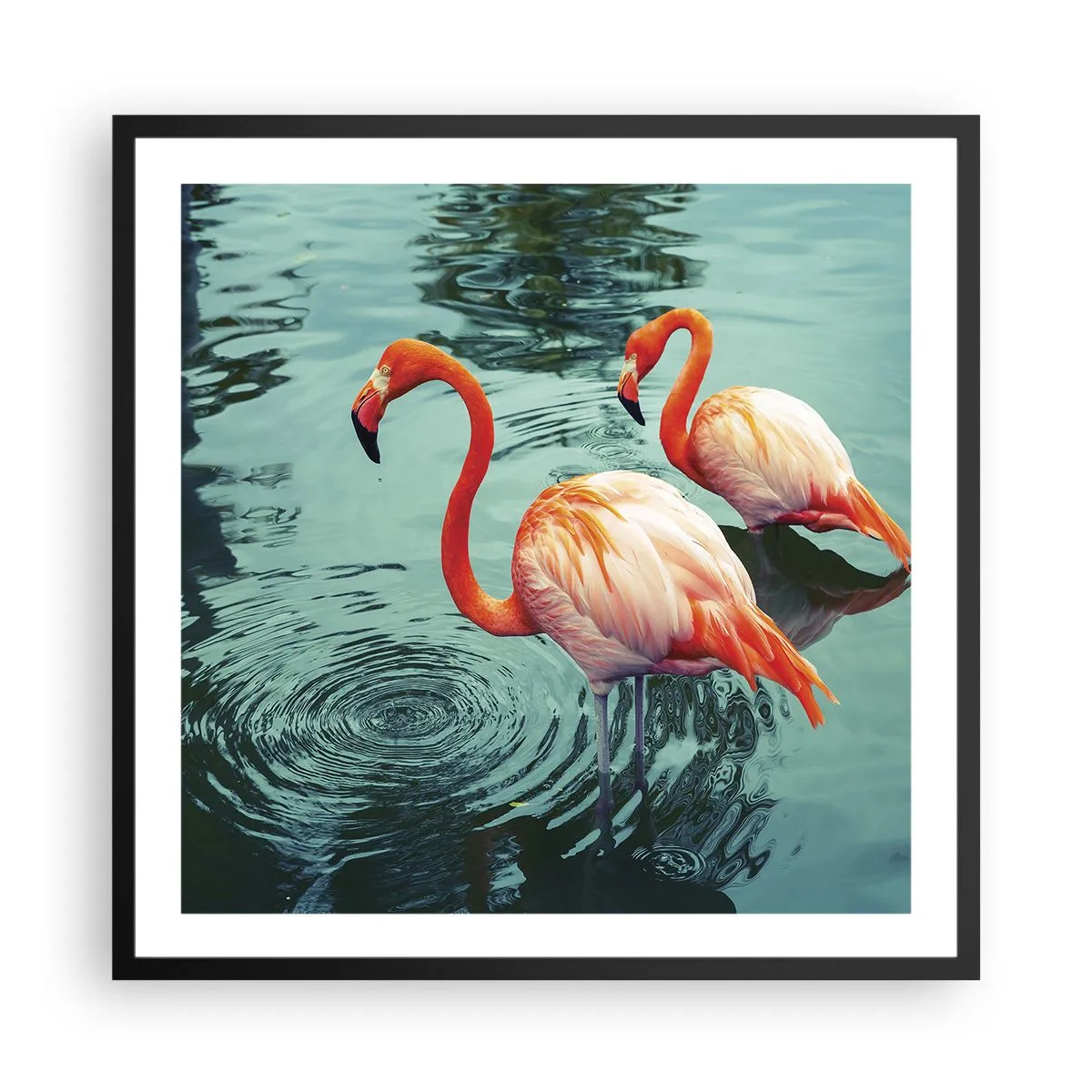 Affisch i svart ram - Nu är vi på modet - 60x60 cm