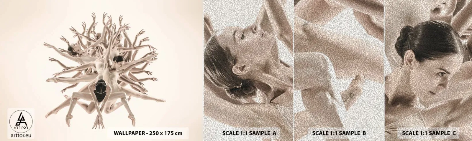 Provbit av fototapet Premium Sand - Blommar i dansen - Abstraktion, Bit, Balett - 100x30 cm