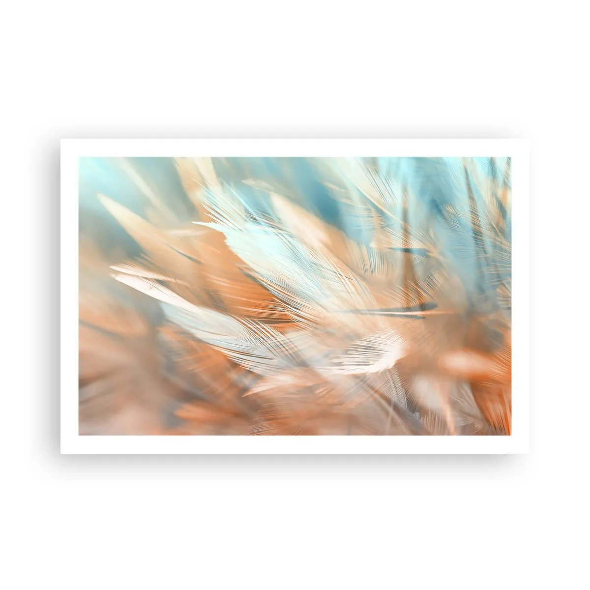 Affisch - I mildhetens land - 91x61 cm