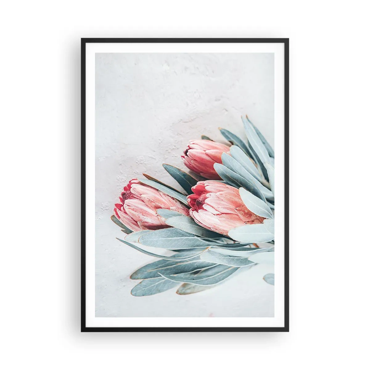 Affisch i svart ram - Generad av sin skönhet - 70x100 cm