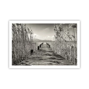 Affisch - I gräsets fristad - 91x61 cm