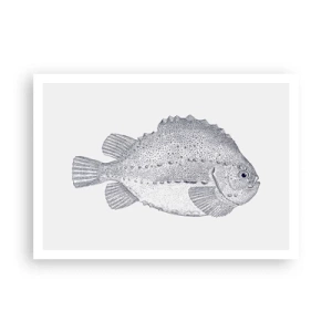 Affisch - Till naturforskarens album - 100x70 cm