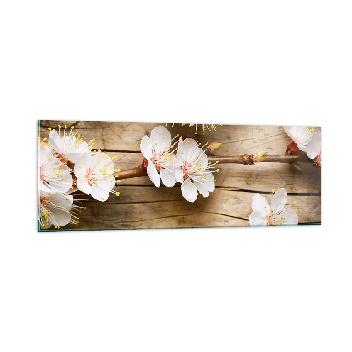 Glastavla - Bild på glas - Och så blev det vår - 90x30 cm