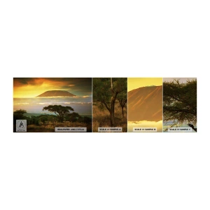 Fototapet Prov Standard Eco - Resenärens dröm - Landskap, Mount Kilimanjaro, Afrika - 100x30 cm
