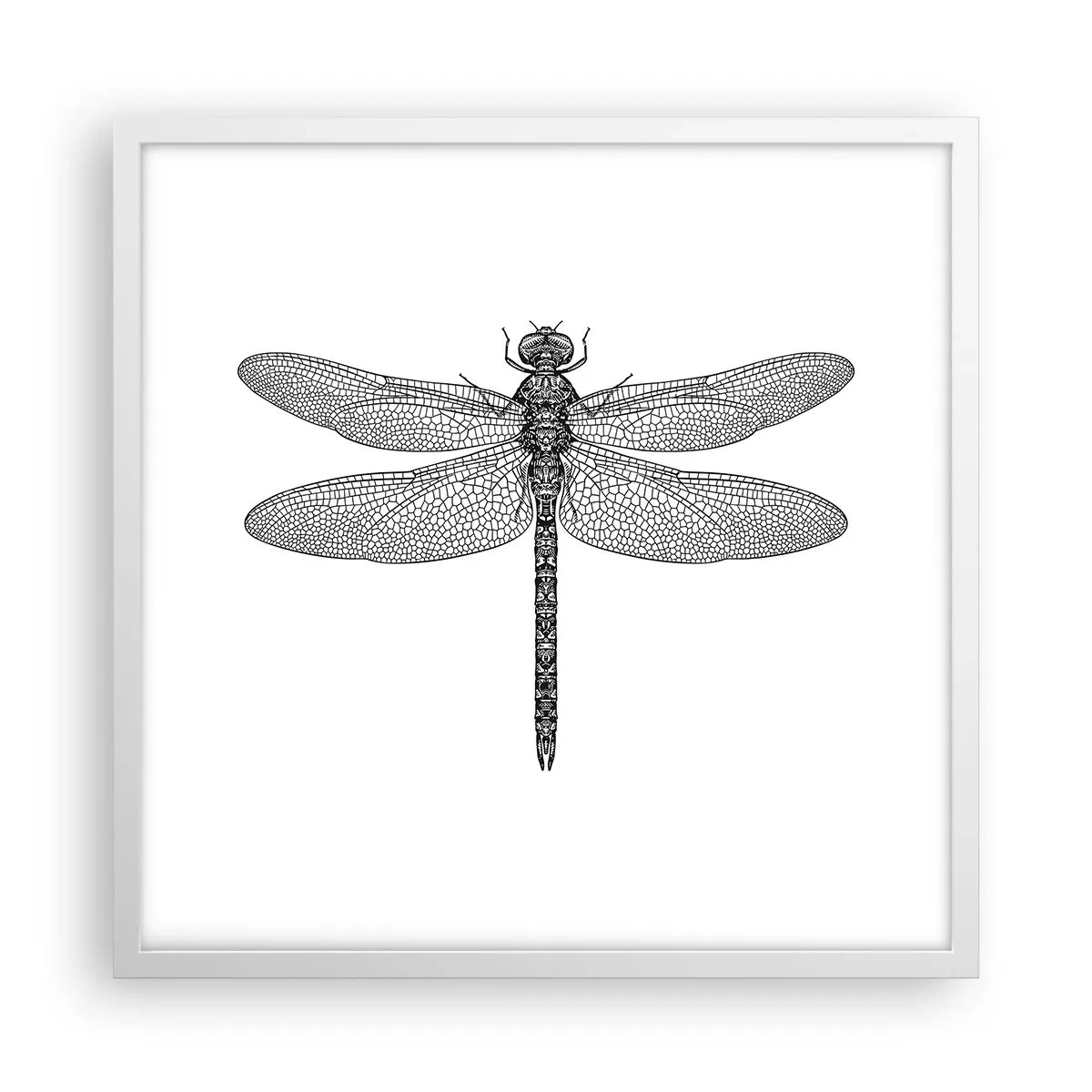 Affisch i vit ram - Precision i naturen - 50x50 cm