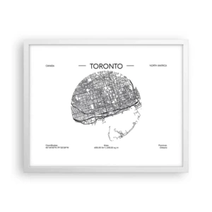 Affisch i vit ram - Torontos anatomi - 50x40 cm