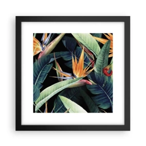 Affisch i svart ram - Tropikens brinnande blommor - 30x30 cm