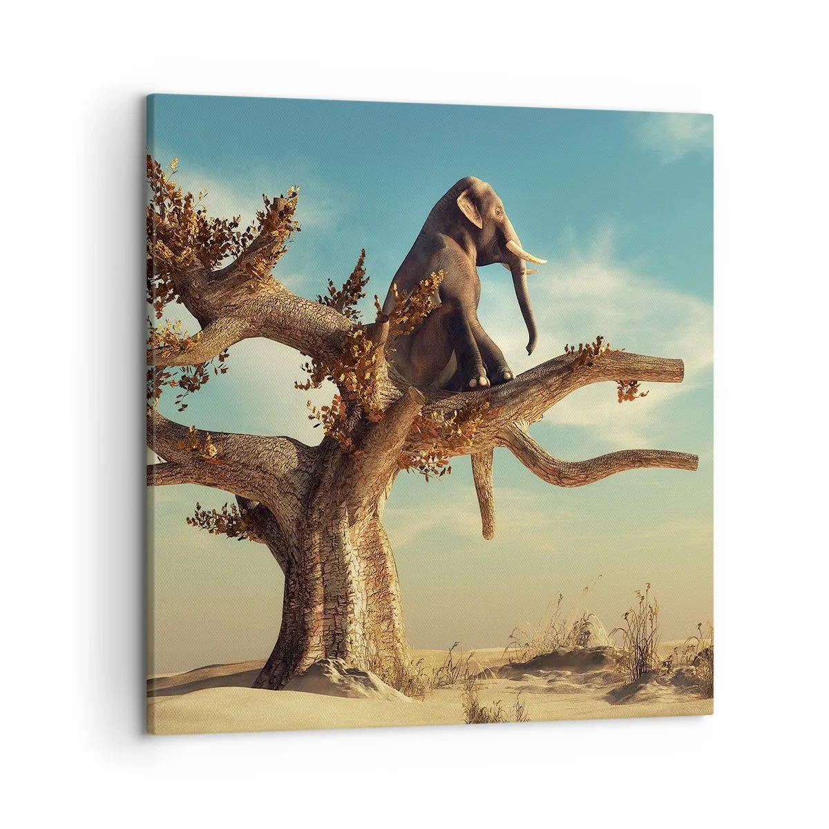 Canvastavla - Bild på duk - Ny synvinkel - 50x50 cm