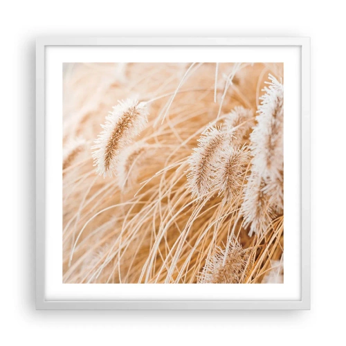 Affisch i vit ram - Gyllene gräsrassel - 50x50 cm