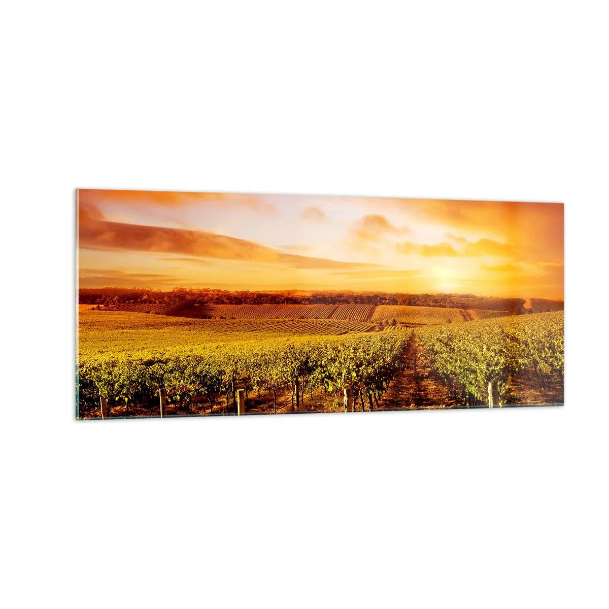 Glastavla - Bild på glas - Fina druvor med en gnutta sol - 100x40 cm