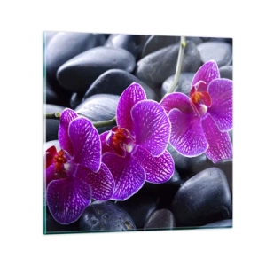 Glastavla - Bild på glas - Stenarna har bleknat av beundran - 50x50 cm