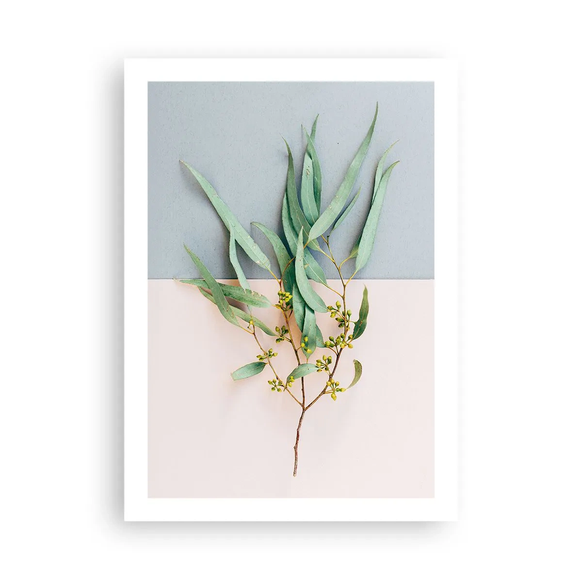 Affisch - Pastellens subtilitet - 50x70 cm