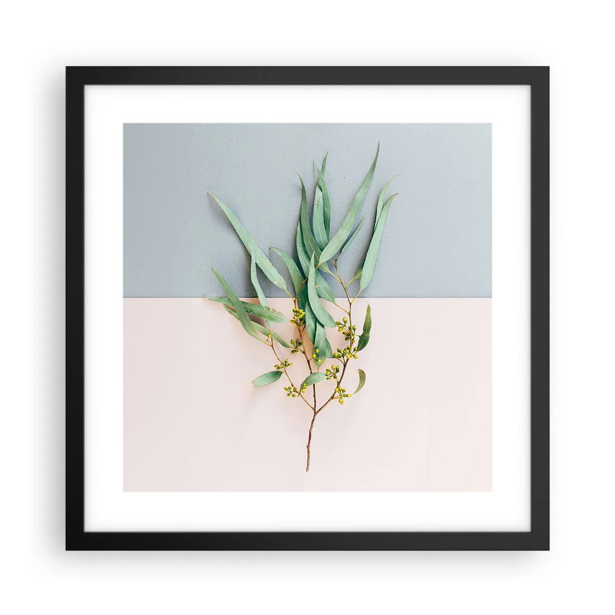 Affisch i svart ram - Pastellens subtilitet - 40x40 cm