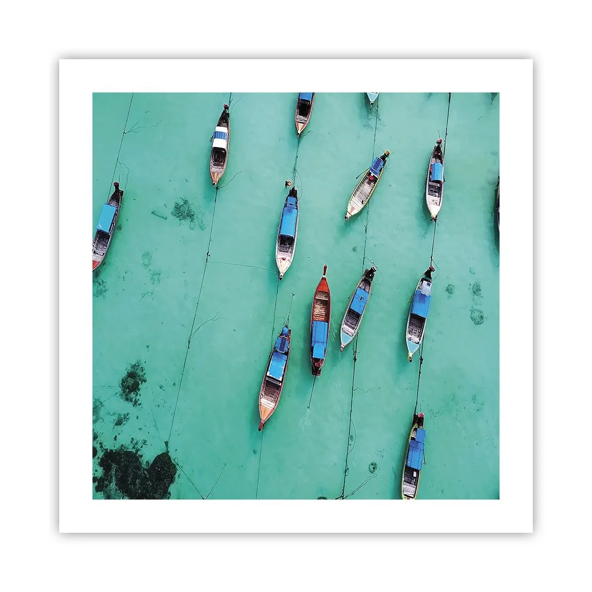 Affisch - Under en glad väntan - 50x50 cm