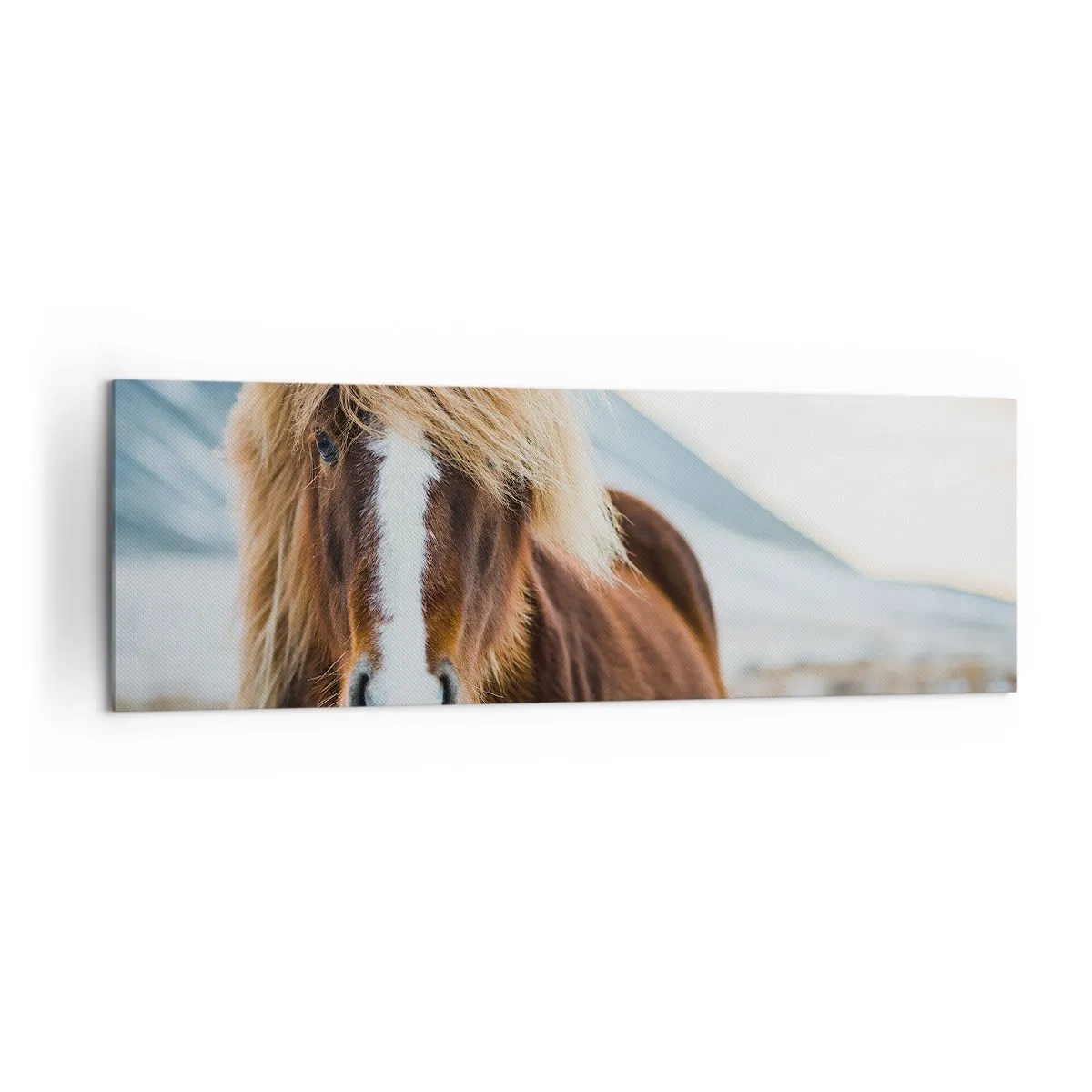 Canvastavla - Bild på duk - Känner du friheten? - 160x50 cm