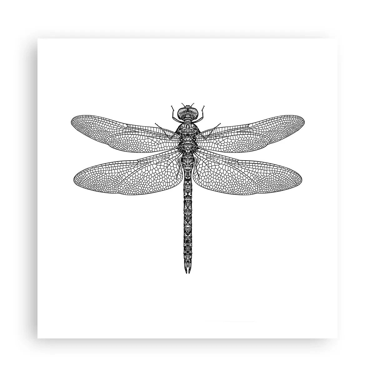 Affisch - Precision i naturen - 60x60 cm