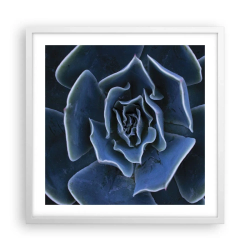 Affisch i vit ram - Öknens blomma - 50x50 cm