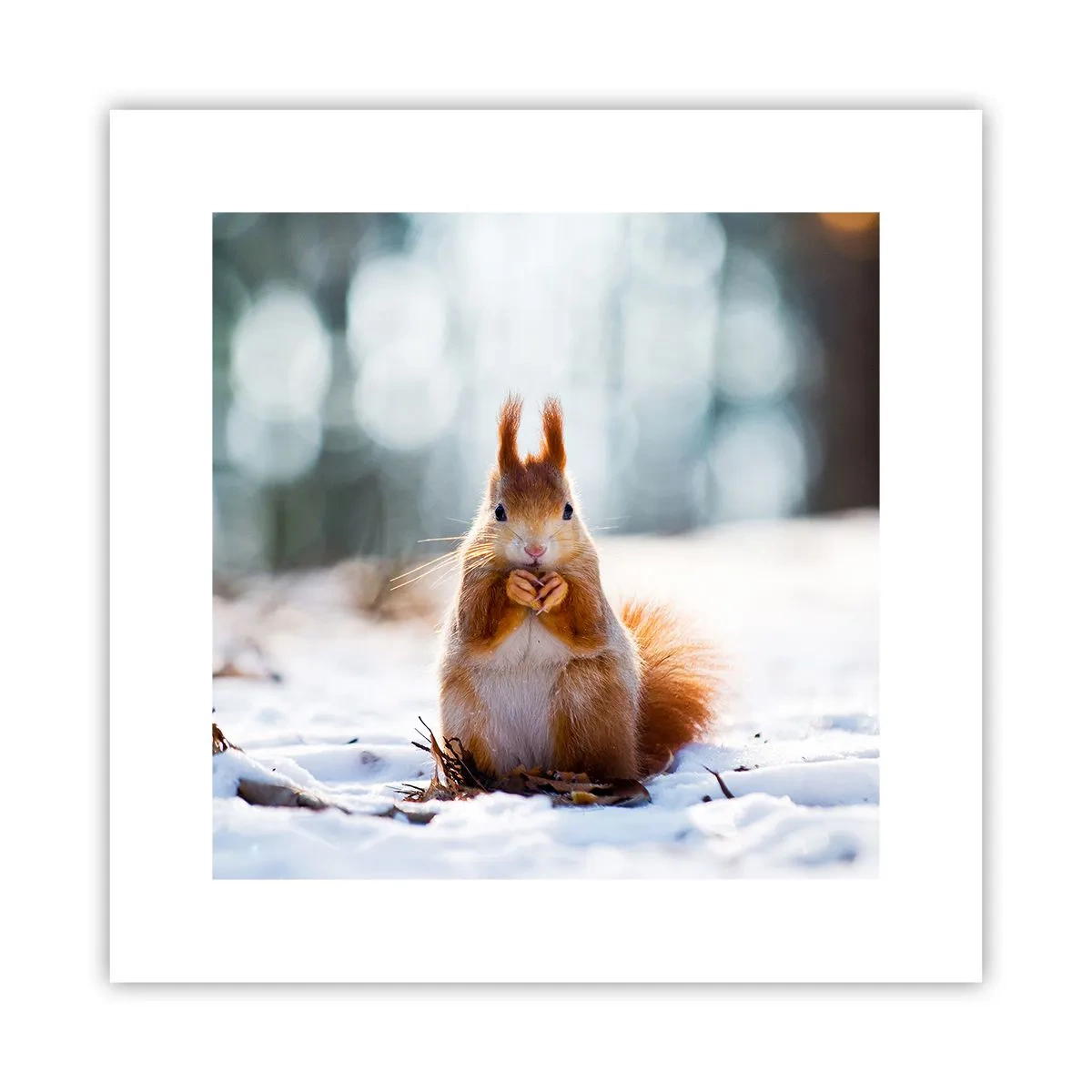 Affisch - Vad glor du på? - 30x30 cm