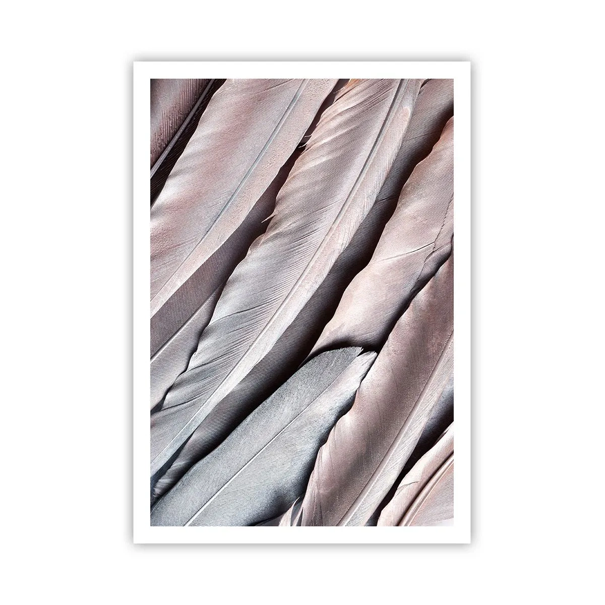 Affisch - I rosa silver - 70x100 cm