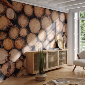 Självhäftande Fototapet Deluxe Sticker - Ny början - Trä, Trästockar, Natur - 350x256 cm