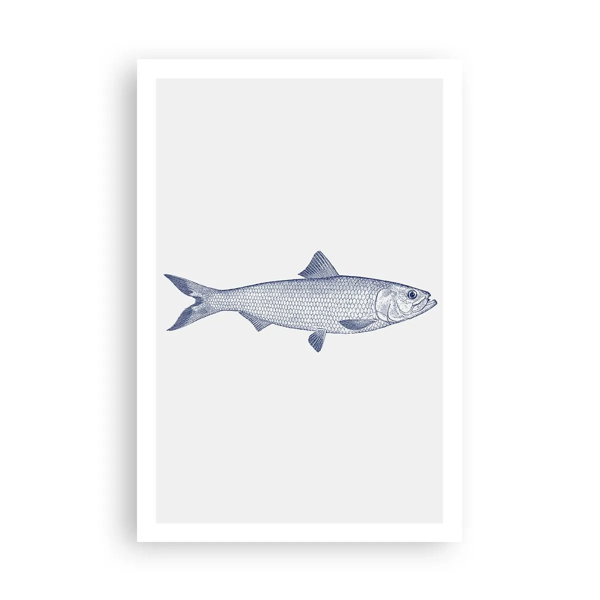 Affisch - Hälsningar från de nordliga haven - 61x91 cm