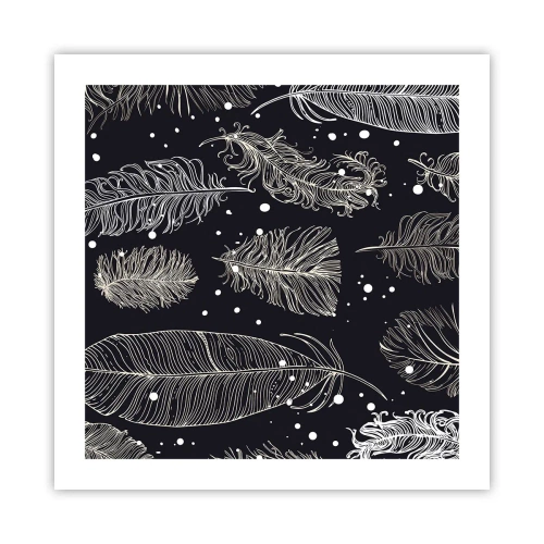 Affisch - Fjäderspets - 50x50 cm