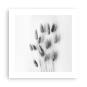 Affisch - Fluffigt gräs - 40x40 cm