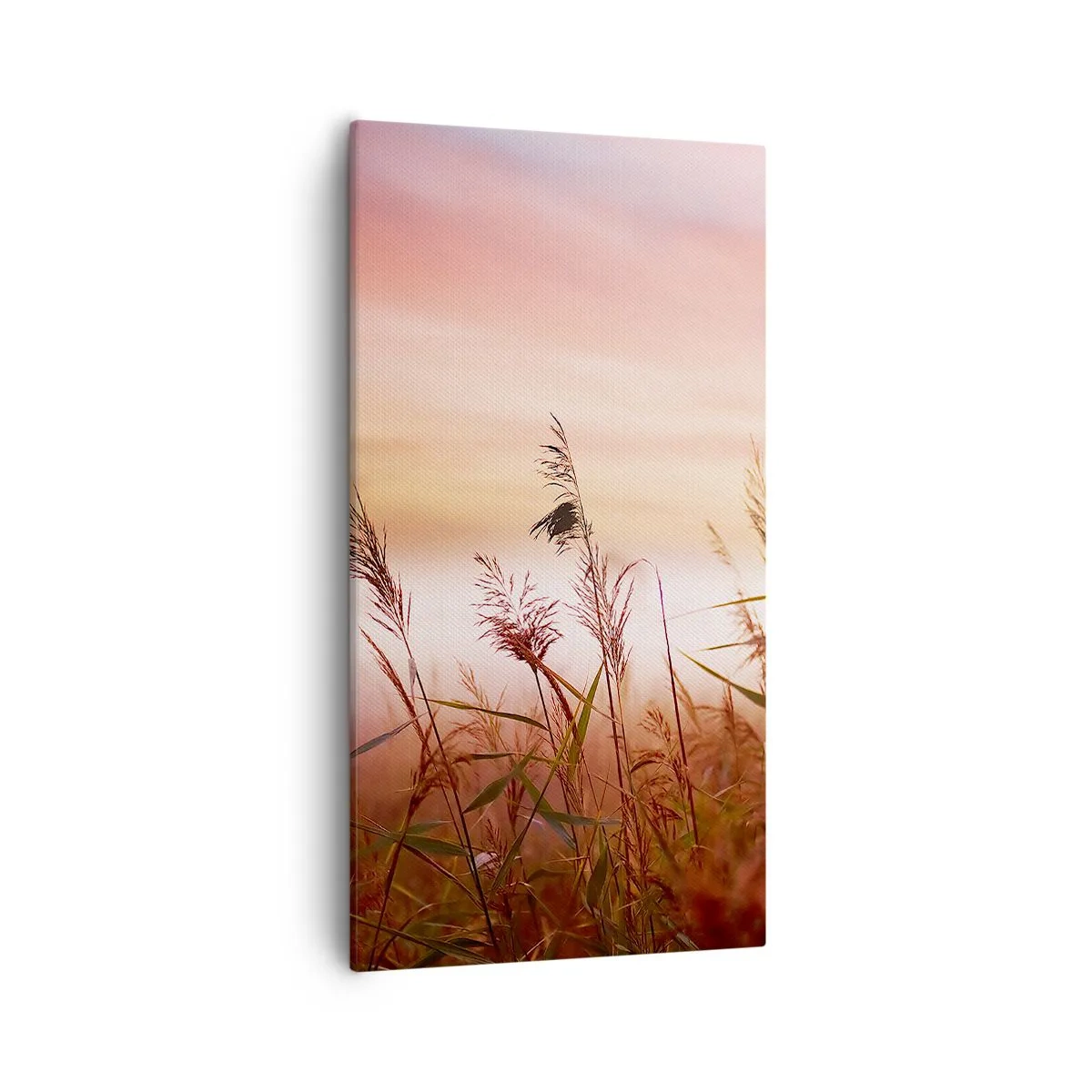 Canvastavla - Bild på duk - Drakar, maskrosor, vind - 55x100 cm