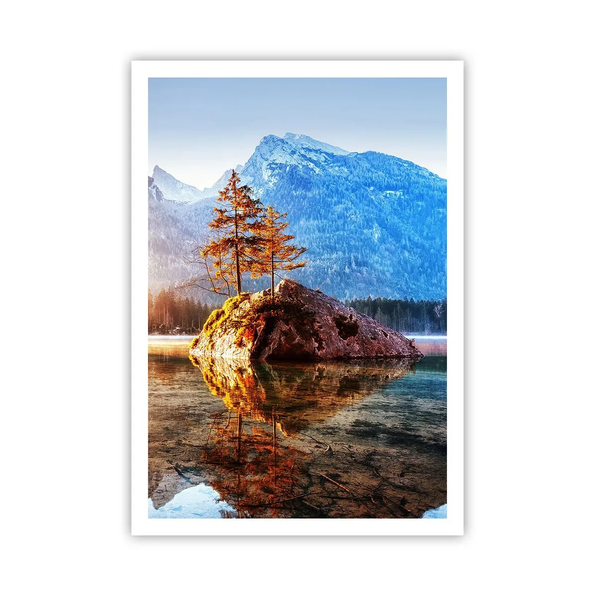 Affisch - Naturen i ett nytt ljus - 70x100 cm