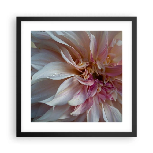 Affisch i svart ram - Blommande friskhet - 40x40 cm