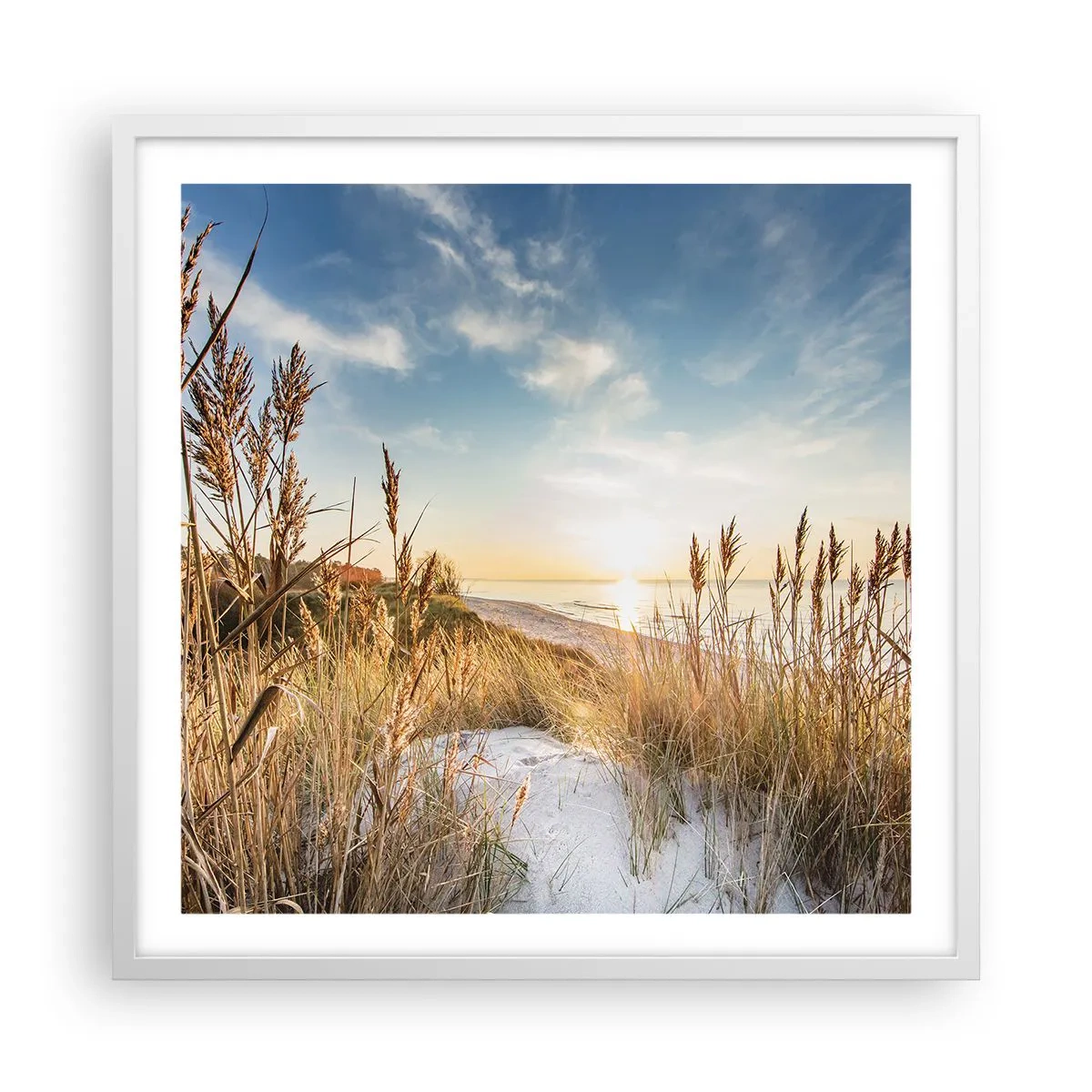 Affisch i vit ram - Nordlig strand - 60x60 cm