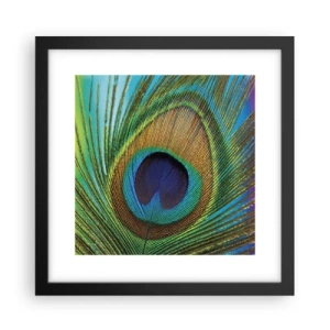 Affisch i svart ram - Öga mot öga - 30x30 cm