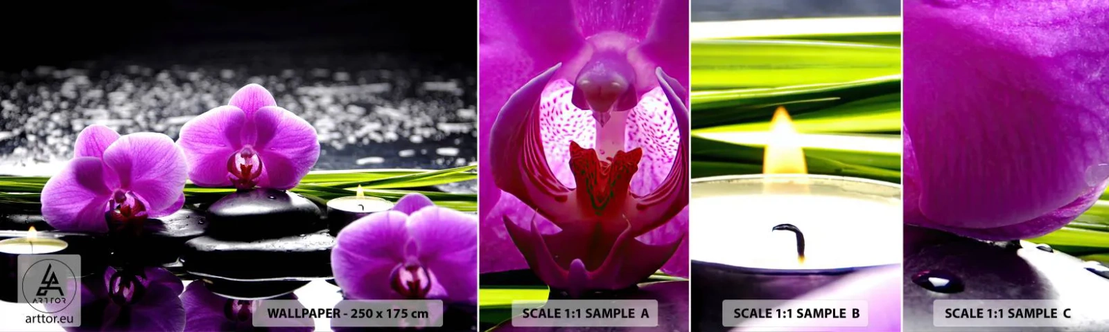 Provbit av självhäftande fototapet Deluxe Sticker - Drunkna i tystnad och lugn - Blommor, Orkide, Orkide - 100x30 cm