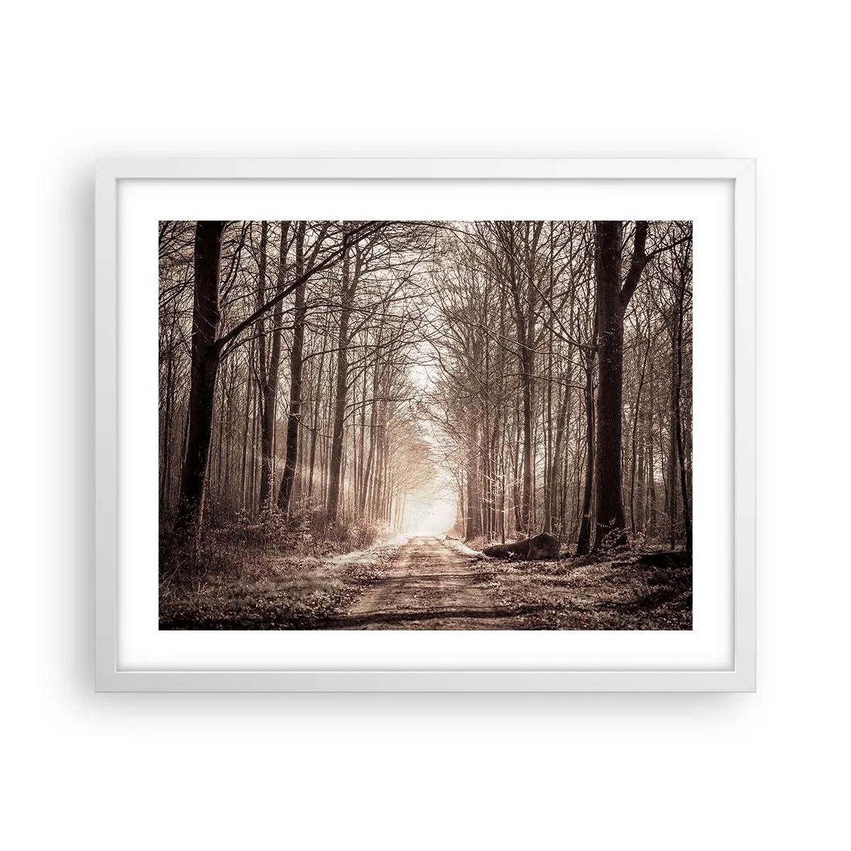 Affisch i vit ram - Skogens domkyrka - 50x40 cm