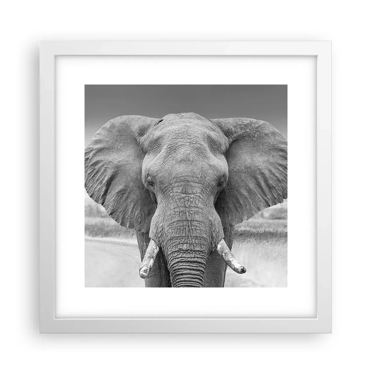 Affisch i vit ram - Välkommen till min värld - 30x30 cm