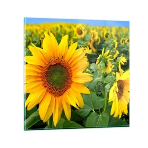 Glastavla - Bild på glas - Hundratals brinnande solar - 30x30 cm