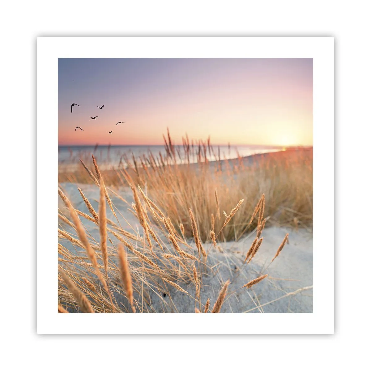 Affisch - Östersjövaggvisa - 50x50 cm