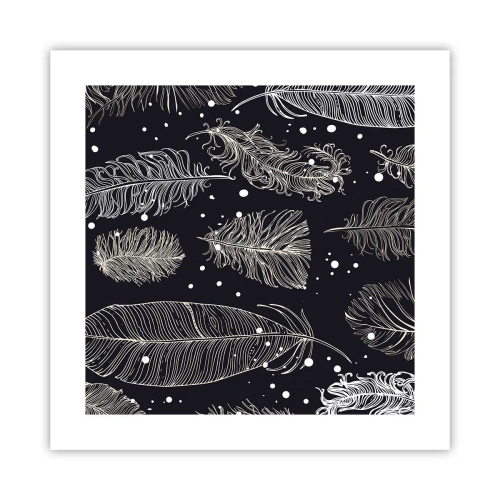 Affisch - Fjäderspets - 40x40 cm