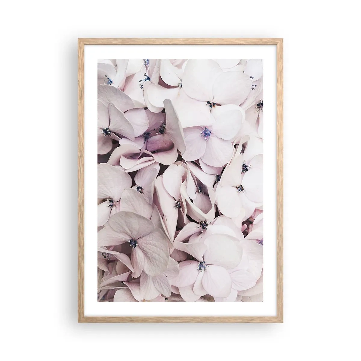 Affisch i ram av ljusek - I en flod av blommor - 50x70 cm