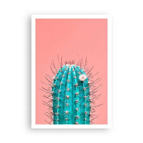 Affisch - Titta bara - 70x100 cm