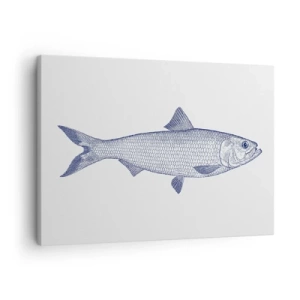 Canvastavla - Bild på duk - Illustration av en fisk i nyanser av blått mot en ljus bakgrund - 70x50cm - Hälsningar från de nordliga haven - Modern väggdekoration för vardagsrum och sovrum ARTTOR