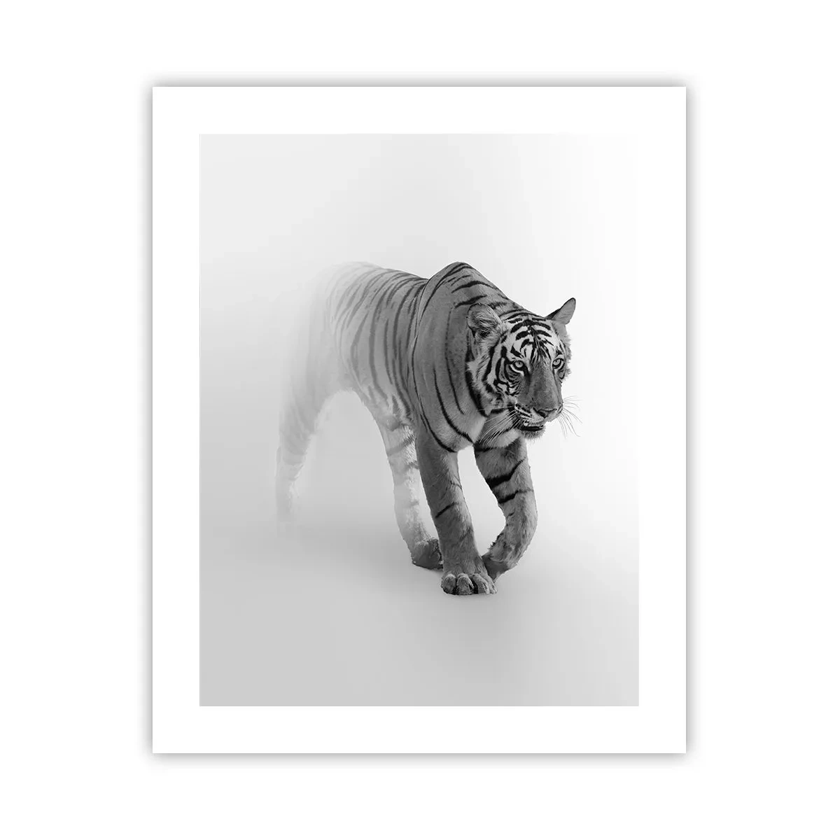 Affisch - Gömd i dimman - 40x50 cm