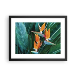 Affisch i svart ram - Är det en blomma, eller en fågel? - 40x30 cm