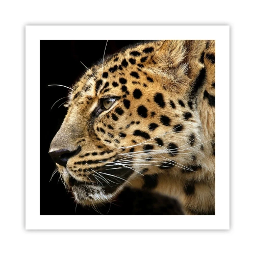 Affisch - Lugn, fokuserad, redo - 50x50 cm