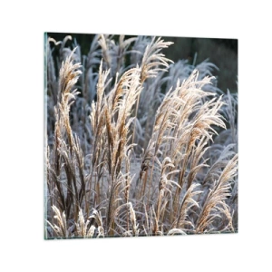 Glastavla - Bild på glas - Frostprydda - 40x40 cm
