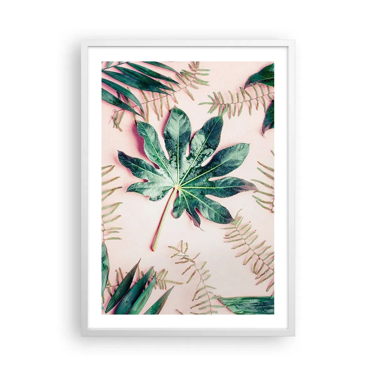 Affisch i vit ram - Grönskans studie mot rosa bakgrund - 50x70 cm