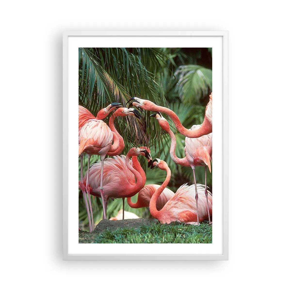 Affisch i vit ram - Eftermiddags skvaller - 50x70 cm