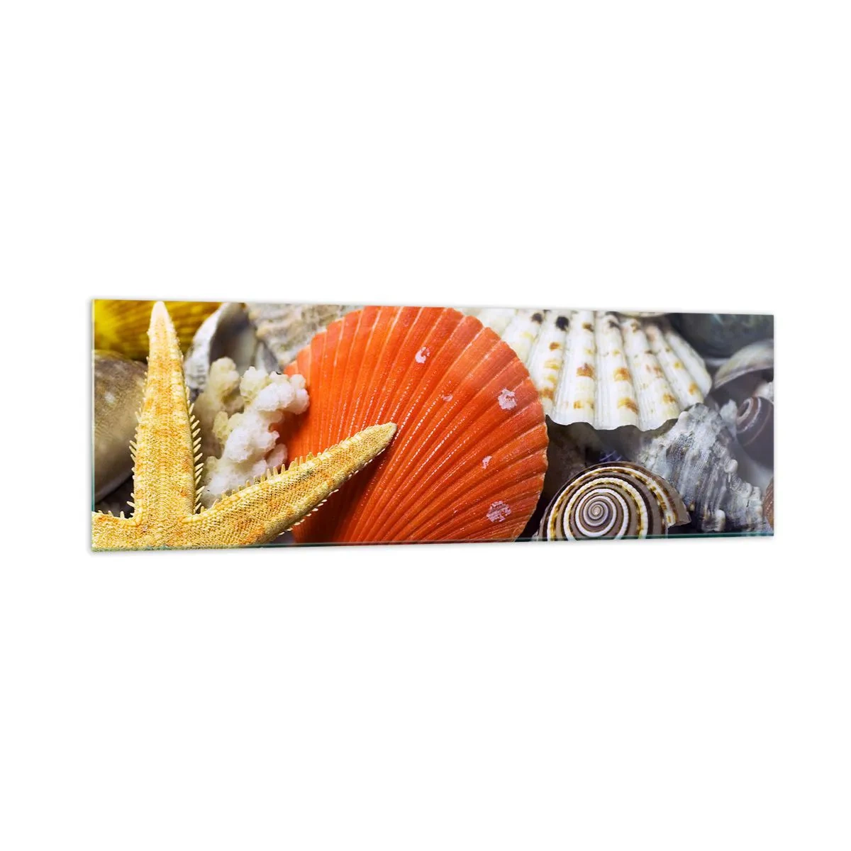 Glastavla - Bild på glas - Havets skatter - 160x50 cm