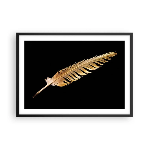 Affisch i svart ram - Fjäder... - 70x50 cm