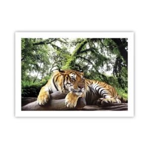 Affisch - Med vänlig hälsning - 70x50 cm